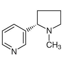 Termo L-nicotina chimico scientifico 99% liquido oleoso Cas 54-11-5 dei mediatori